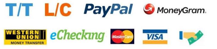 payment payment